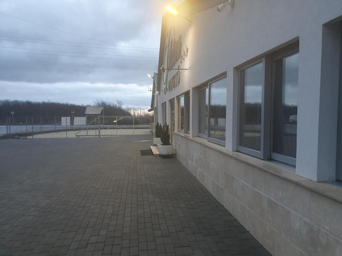 Platina Panzio*** Bed & Breakfast Ujhartyan Bagian luar foto