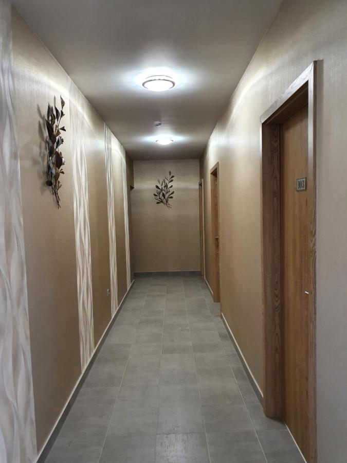 Platina Panzio*** Bed & Breakfast Ujhartyan Bagian luar foto